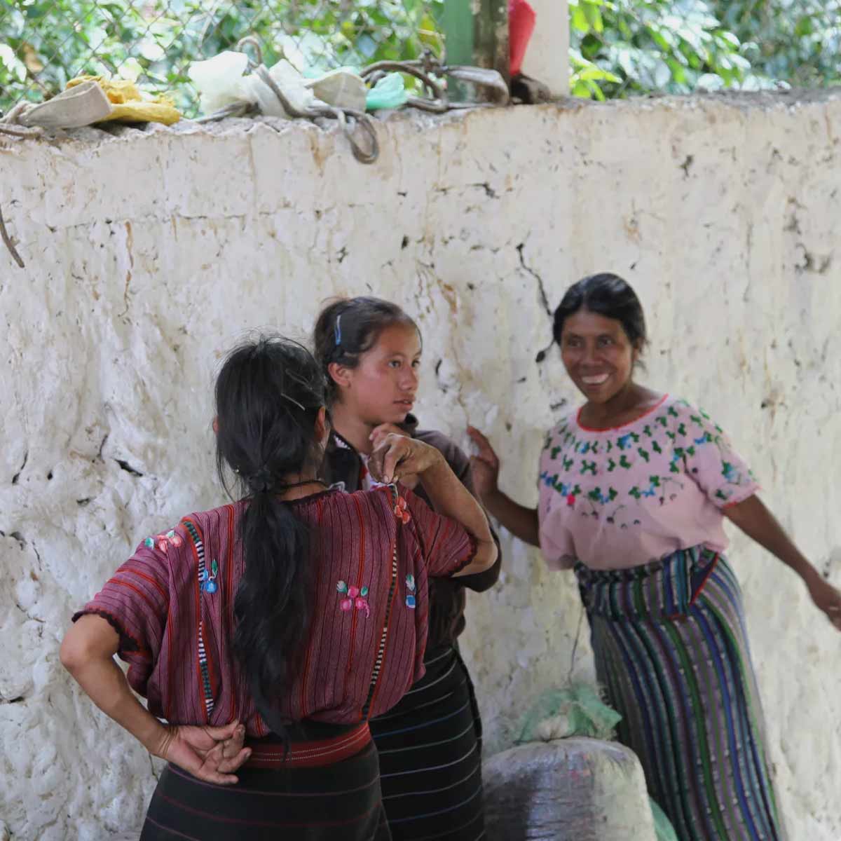 Guatemala Maya Organic kaffe 2025