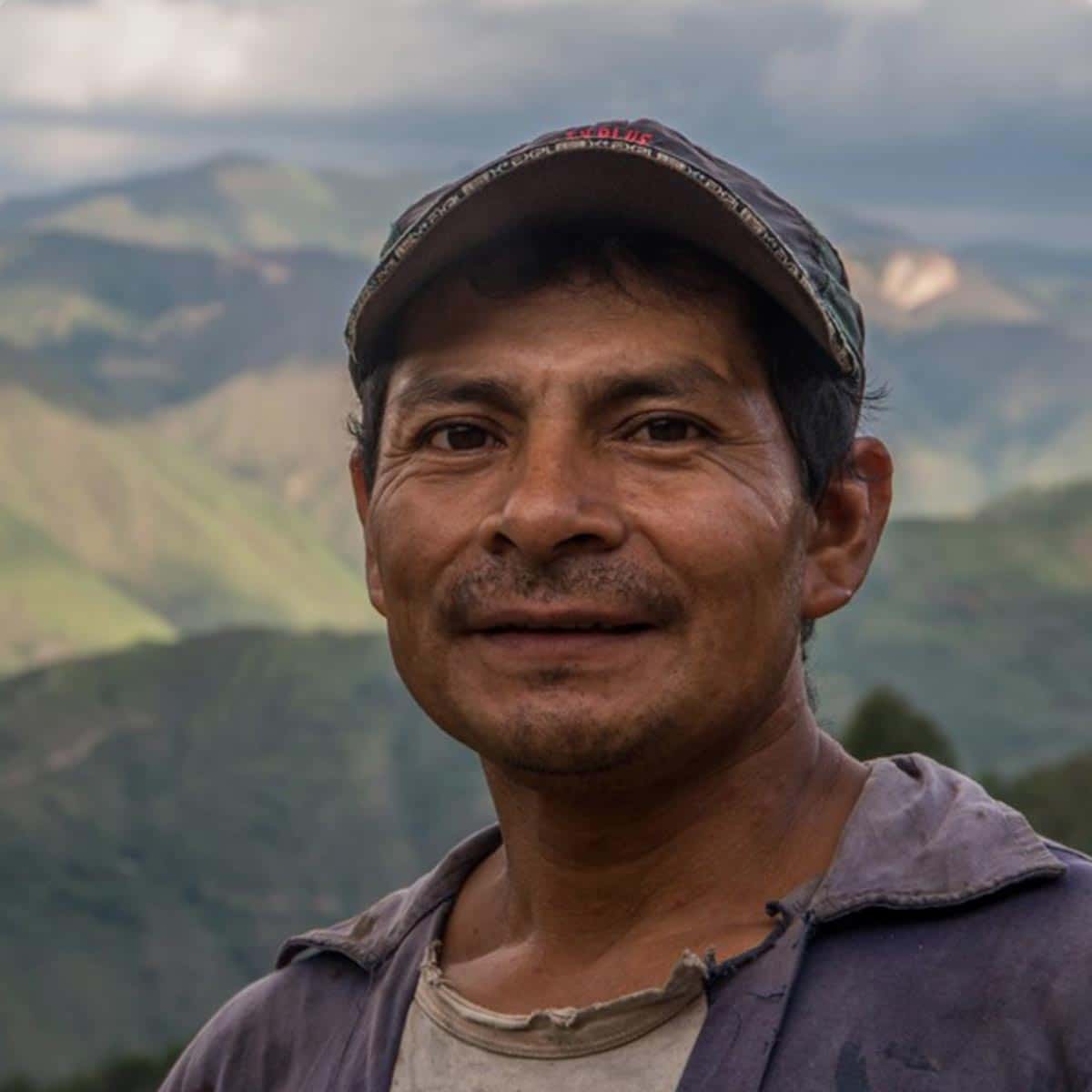 Peru Cedros Organic kaffe 2025